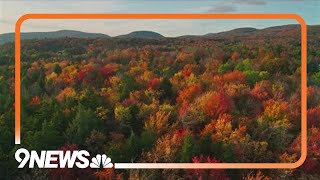 New technology allows colorblind people to enjoy changing leaves