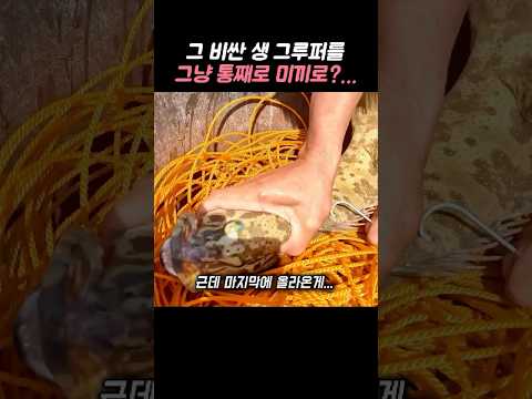값비싼 그루퍼를 통째로 미끼로 꿰고, 놀래기에 소라게까지 걸어 던졌더니… thumbnail
