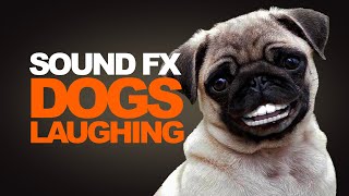 RARE DOGS LAUGHING | Sound Effect [High Quality] by Sound Effects Pro 98,031 views 6 years ago 53 seconds