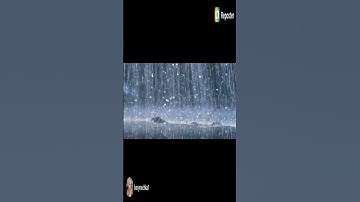 Thumbnail of Игорь Тальков. Летний дождь.  #игорьтальковлетнийдождь