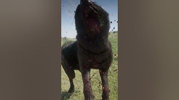 p44 Simulate great survival skills , #shorts