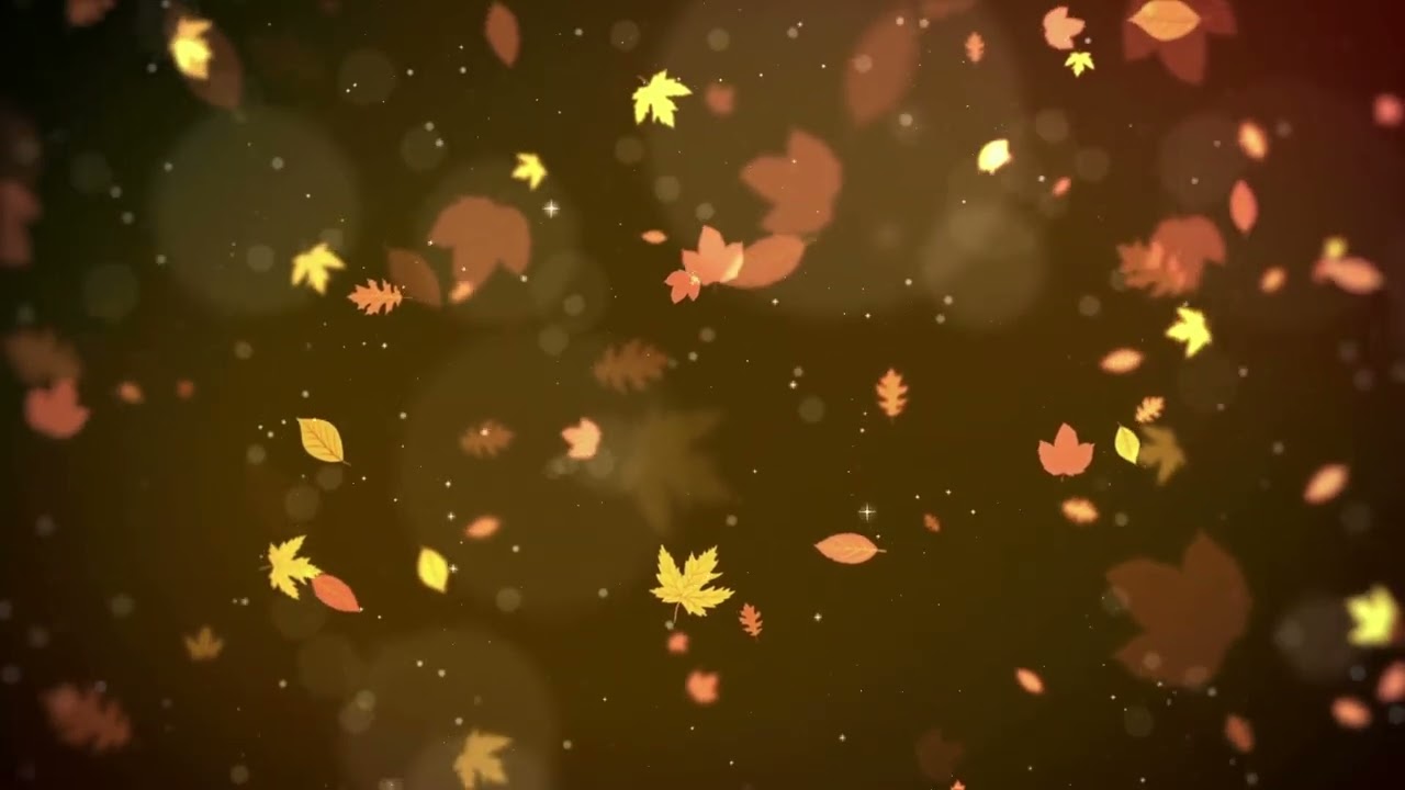 Hiệu ứng lá rơi - ghép video - không bản quyền - YouTube
