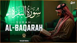 Surah Al Baqarah (سورة البقرة) Full | Spiritual Shield | Home Peace | Quran Light Healing screenshot 2