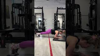 Plank Body Saw