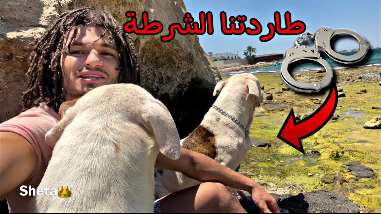 بويكا وسلطان في البحر والشرطة جت👮‍♂️🐶 (هربنا)