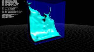 PhsyX Fluid Simulation