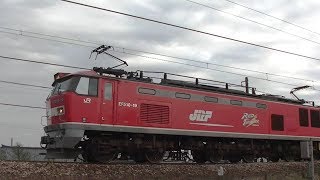 ﾚｯﾄﾞｻﾝﾀﾞｰEF510-19牽引高速貨物3097ﾚ　岡山→新潟