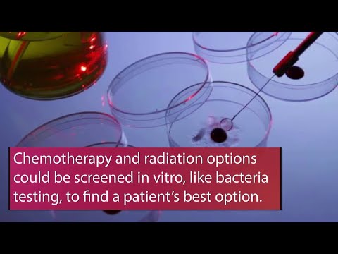 How organoid technology could change cancer therapy