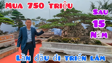 Mua 750 triệu cách đây 15 năm lần đầu tiên đi triển lãm ra mắt CLB 1978 tại Duy Tiên - Hà Nam