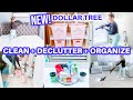 **CLEAN DECLUTTER ORGANIZE WITH ME | SPEED CLEANING MOTIVATION | BATHROOM ORGANIZATION | DOLLAR TREE