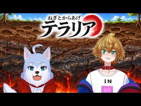 【 Terraria 】　#1 懐かしくも見知らぬ大型アプデ　茂茶丸視点【 ねぎとからあげ 】