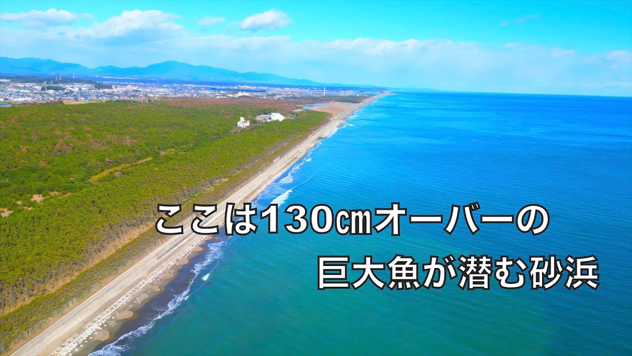 身近な砂浜に潜む巨大魚を釣り上げるべく挑んだ日々【2024砂浜の怪魚編・前編】