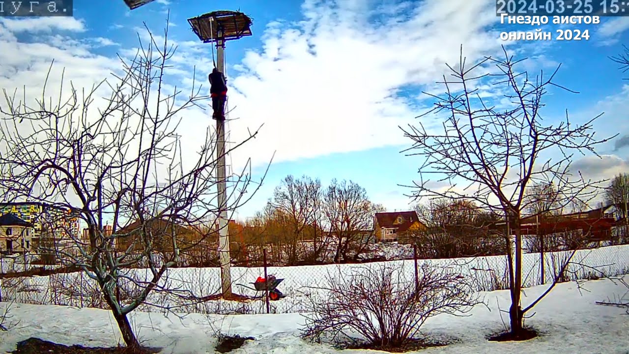 Монтаж видеокамеры над гнездом аистов в деталях - YouTube