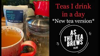 Teas in a Day || Jasmine Ginger Twist Review- DAVIDs TEA