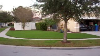 11448 Bay Gardens Loop, Riverview, FL 3356 | For Sale Home in Riverview 33569 11448 Bay Gardens Loop, Riverview, FL 3356 | For Sale Home in Riverview 33569