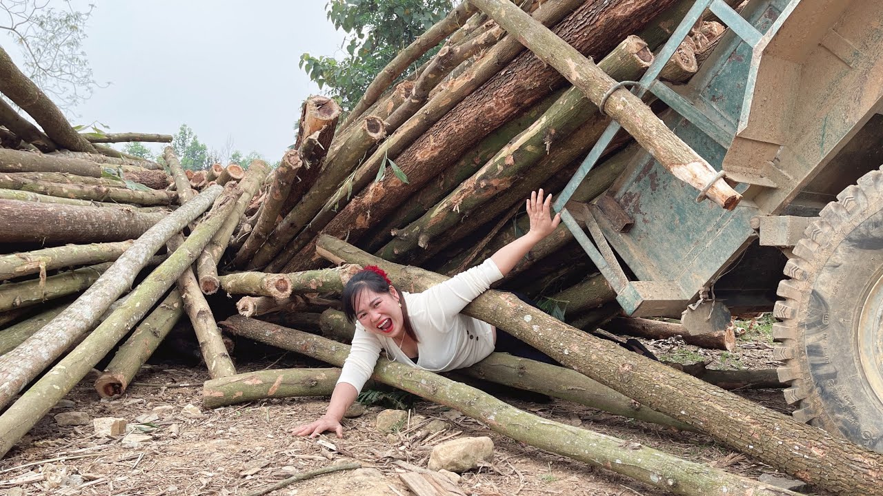 Agricultural Vehicles Rural Girl's Wood Transport Driving Skills