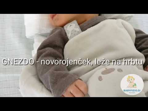 Video: Hišni Ljubljenčki In Novorojenčki: Miti, Ki Jim Ne Bi Smeli Verjeti