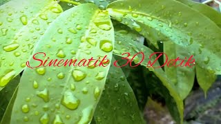 video aesthetik setelah hujan||after rain