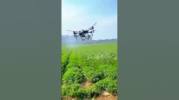 “Smart pest control for peanuts—better tools, healthier crops.”