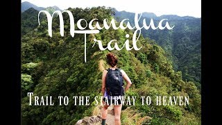 'High'  Vlog 5  Moanalua Trail to the 'Stairway to Heaven'