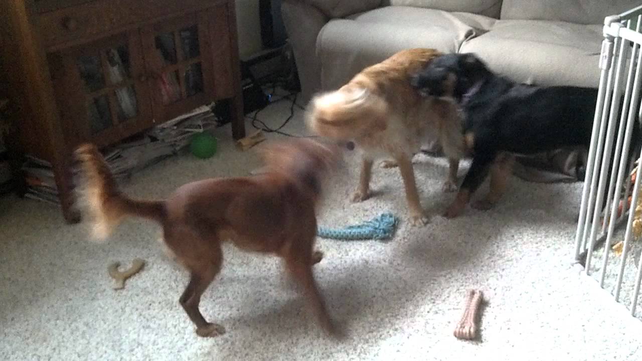 Chloe getting double teamed by Doug and Killian