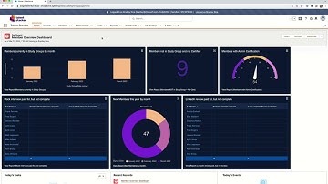 Salesforce Dashboard for Talent Stacker