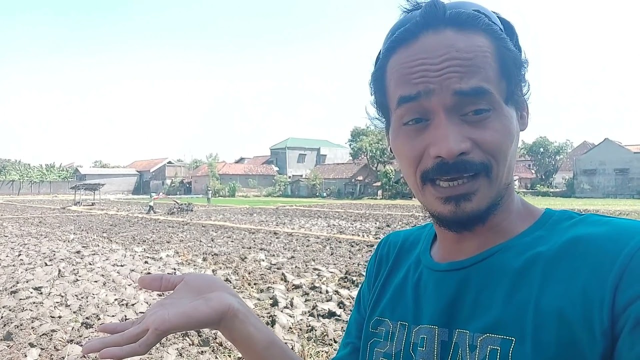 MAT ORDUL BERKUNJUNG KE SAWAH