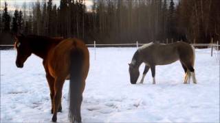 AHHJ Rainbow Ranch, ALASKA, winter, e-quest, october, november, and, december, pieces