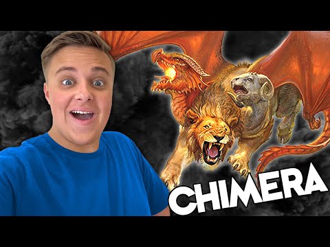 Searching for the COOLEST Dungeon and Dragons Collectible!!