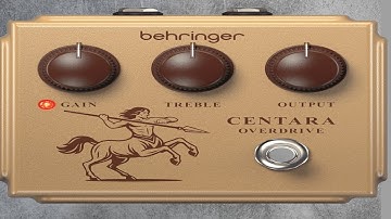 guitar players are still stupid