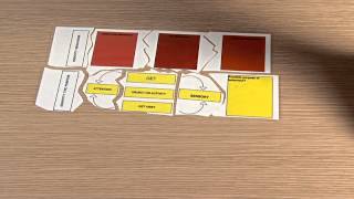 Positive Behaviour Support Template