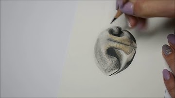 HOW TO DRAW A DOGS NOSE IN COLOUR PENCIL - TIME LAPSE VIDEO