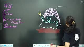 animal kingdom by sampati mam physicswalaah lecture 6