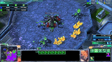 tactic pgm hit and run marine