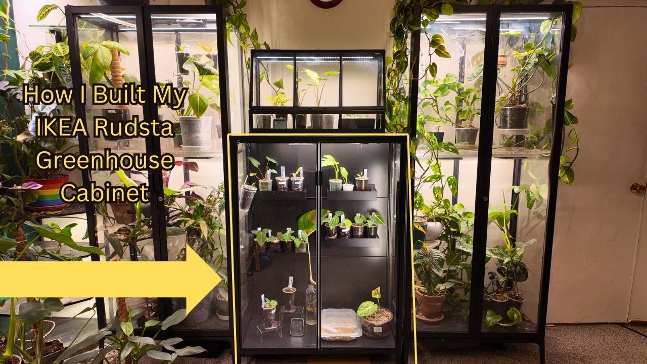 How I Built My IKEA Rudsta Greenhouse Cabinet