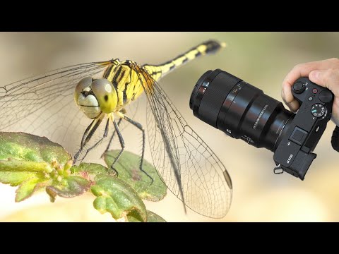 Sony A6700 &