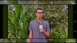 تكريم تلميذي الاول ولائيا في شهادة البكالوريا