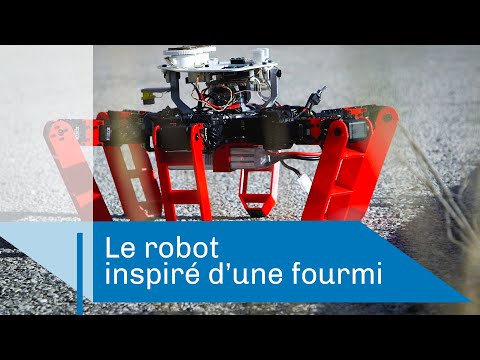 AntBot : le robot fourmi | Reportage CNRS