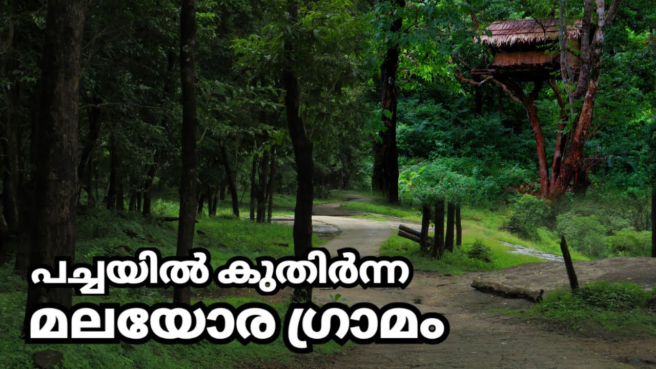 Mamalakkandam Deep mamalakkandam-deep