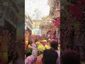 📍Fulo ki Holi Vrindavan 🛕#vrindavanholi #holi2024 #ytshort