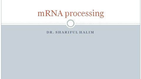 mRNA processing