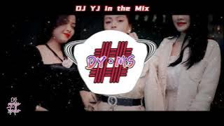 超嗨抖音热门DJ『DJ YJ』Moonlight  ◎ 哪里都是你 2.0 ◎如果可以| 抖音热门DJ车载舞曲