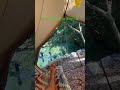 アイリーキャンプベース