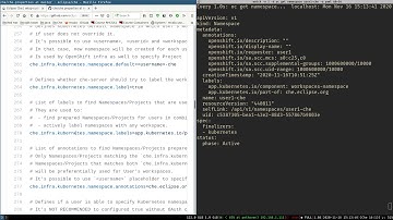 Labeling namespaces - Eclipse Che Platform team (Sprint 192)