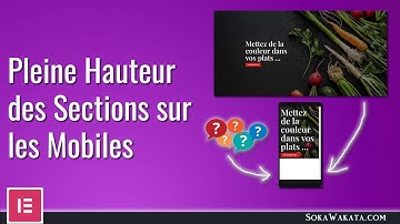 Pleine Hauteur des Sections sur les Mobiles avec Elementor