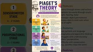 Piget theory of cognitive development #viral #cdp #concept #tips #motivation #viral #newreel #share