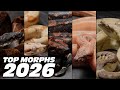 These Boa Morphs Will Explode In 2026, My Hottest Picks