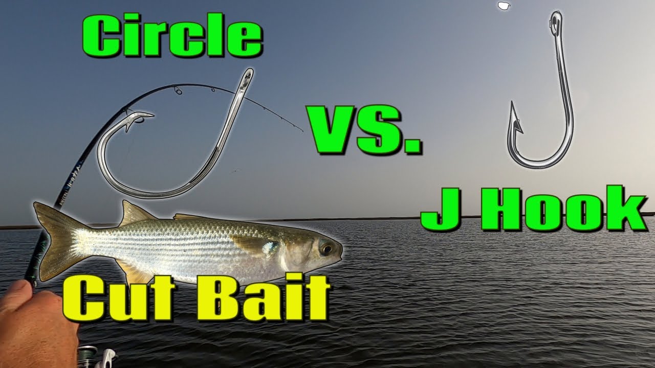 Redfish On Cut Mullet Circle Hook Vs. J Hook Kayak Fishing 