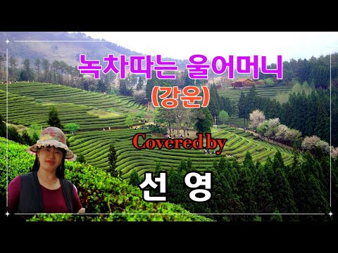 [부시맨 전화라이브] 선영 -녹차따는 울 어머니(강운)
