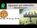 Why do ants travel one behind the other  arinthu kolvom  tamil